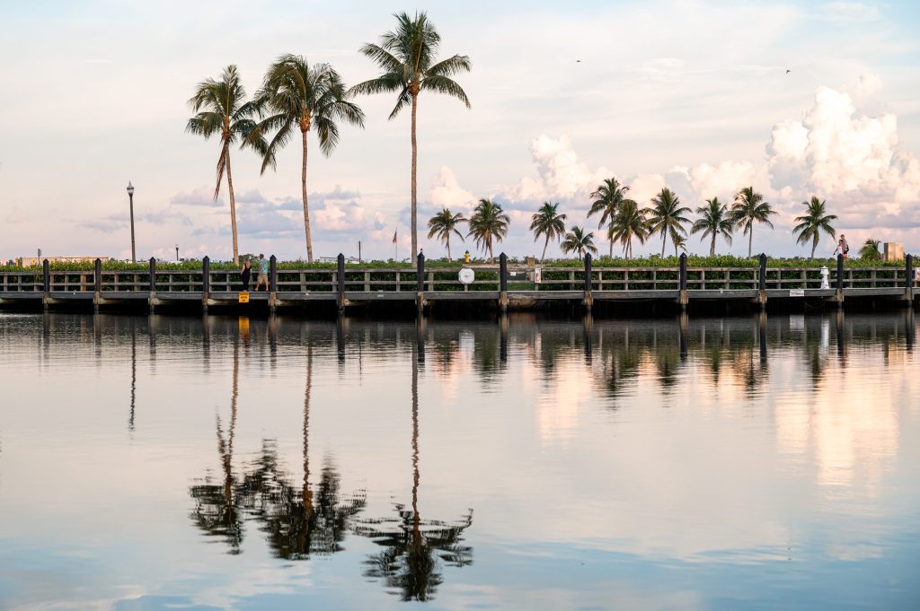 Palm-lined waterfront at Tarpon Point Marina reflected in calm water.