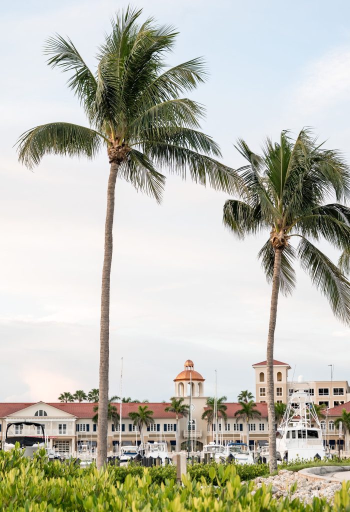 Palm trees framing Marina Village at Tarpon Point Marina.